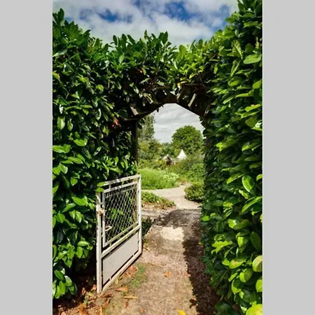 Coeur De Combray, * Ernes