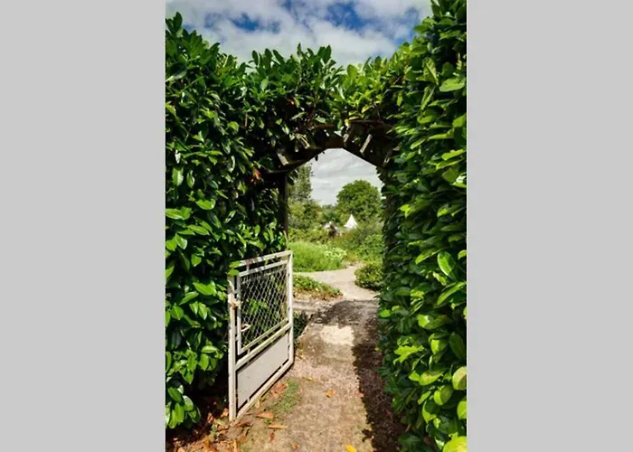 Coeur De Combray, * Ernes